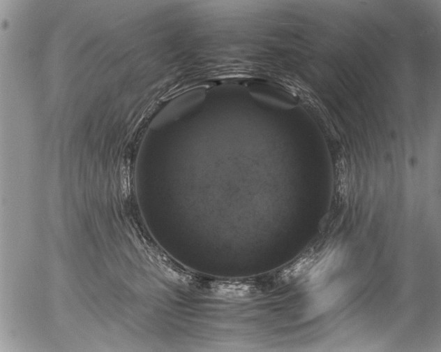 X0000054470471200508011506