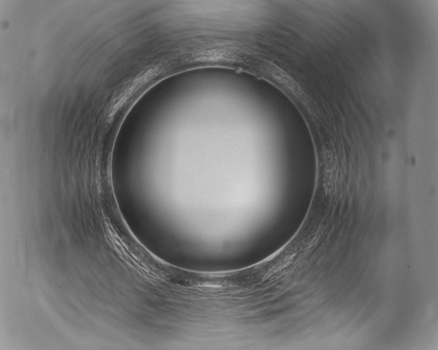 X0000054470482200508011505