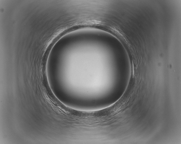 X0000054470483200508011505