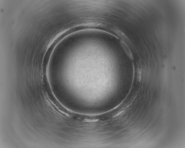 X0000054470484200508011505