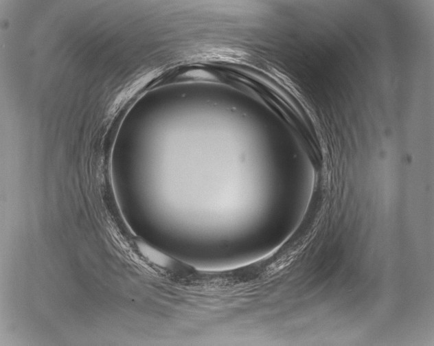 X0000054470485200508011505