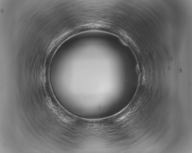 X0000054470486200508011505