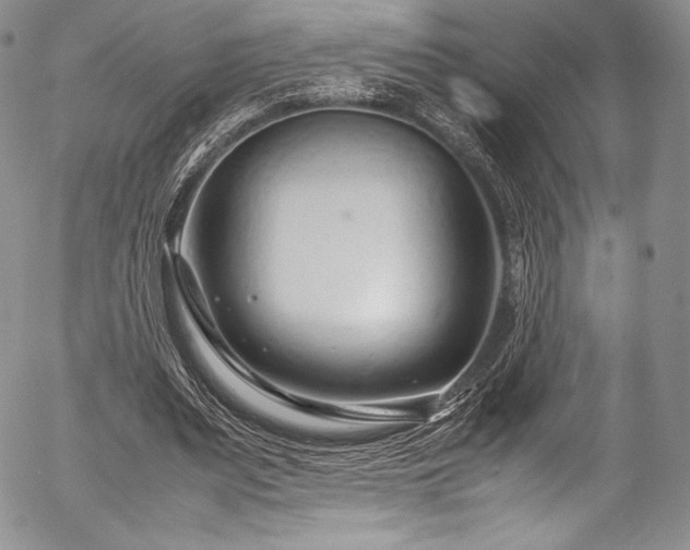 X0000054470487200508011505