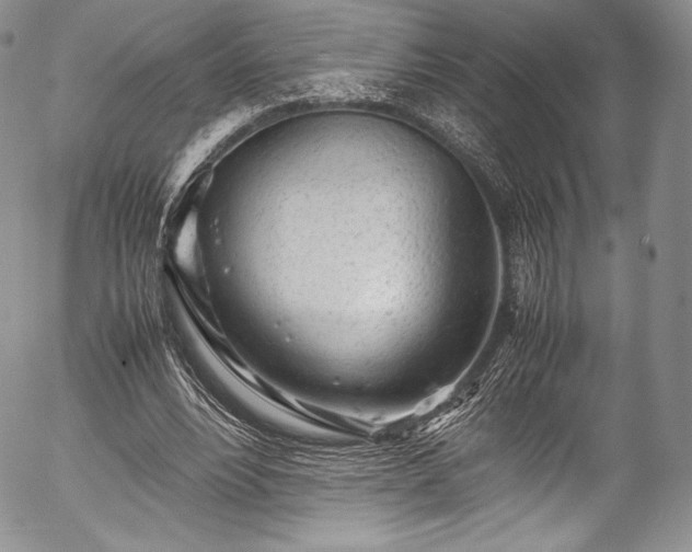 X0000054470488200508011505