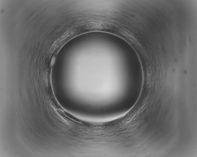 X0000054470489200508011505