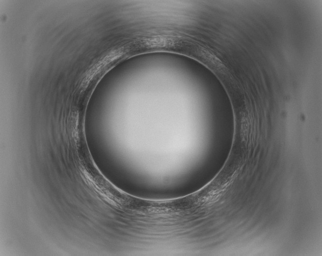 X0000054470490200508011505