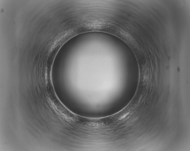 X0000054470494200508011505