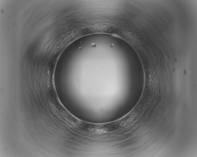 X0000054470498200508011505