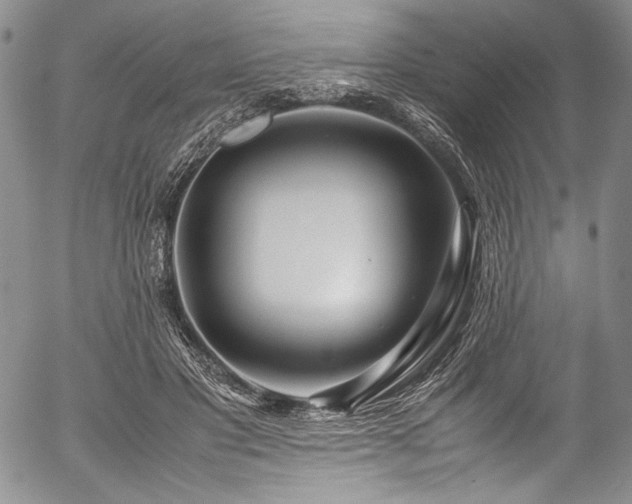 X0000054470501200508011505