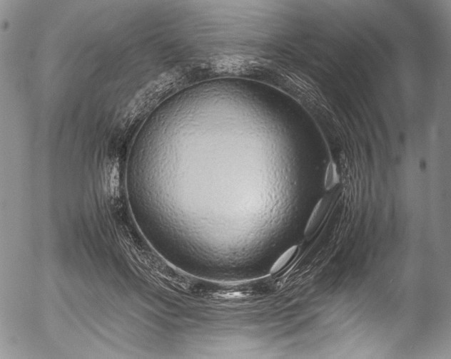 X0000054470502200508011505