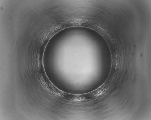 X0000054470504200508011505