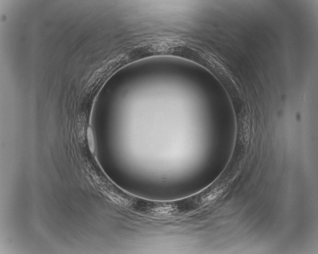 X0000054470505200508011505