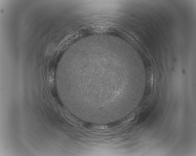 X0000054470507200508011504