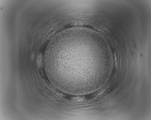 X0000054470511200508011504