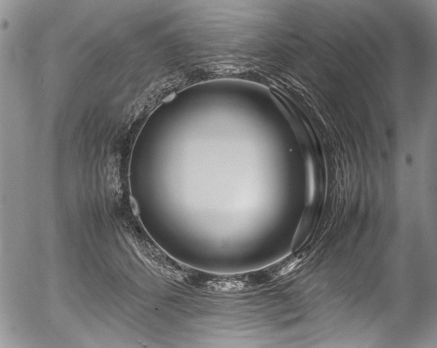 X0000054470512200508011504