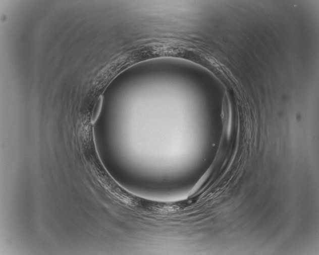 X0000054470513200508011504