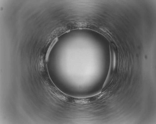 X0000054470516200508011504