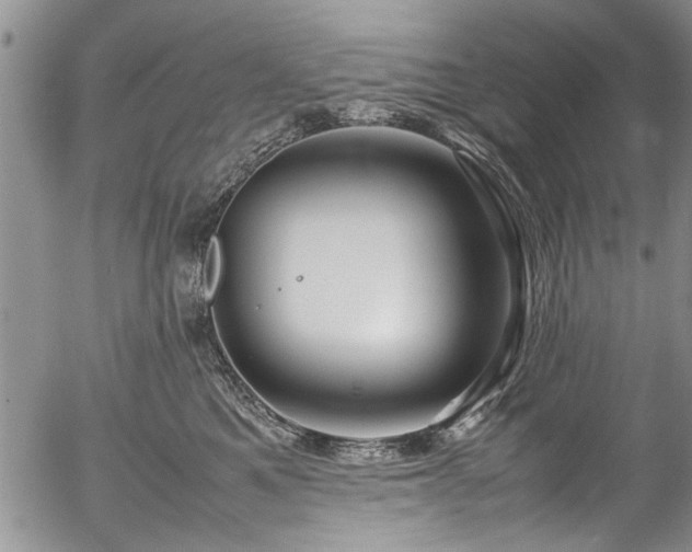 X0000054470521200508011504