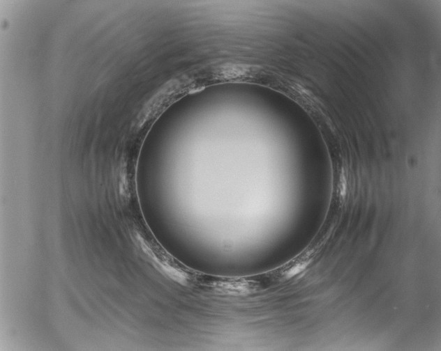 X0000054470524200508011504