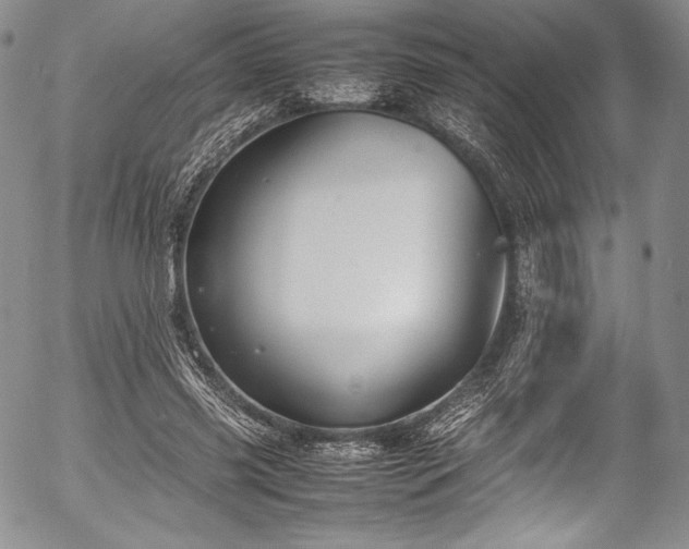 X0000054470541200508011504