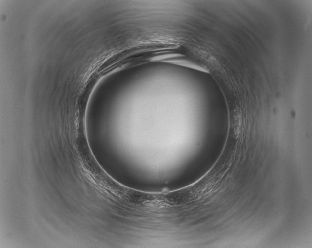 X0000054470544200508011504
