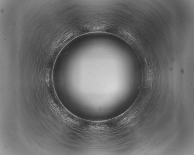 X0000054470545200508011504