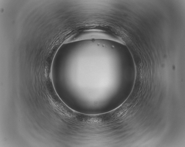 X0000054470546200508011504