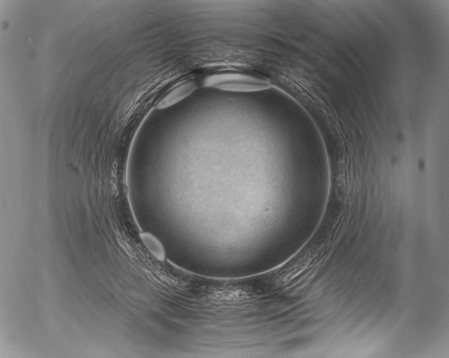 X0000054470547200508011504