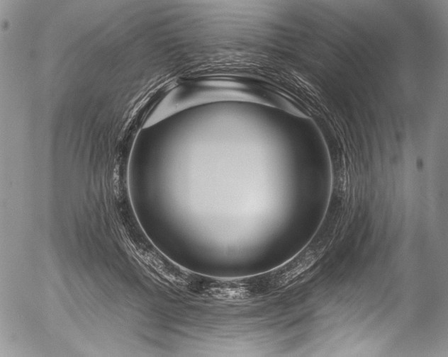 X0000054470552200508011504