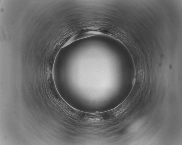 X0000054470555200508011504