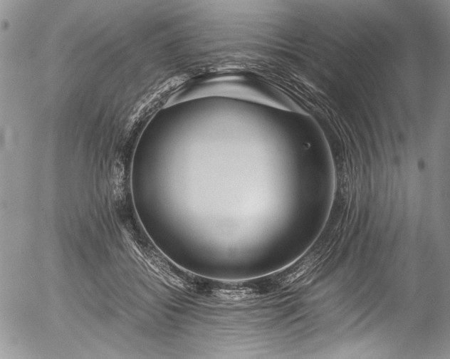 X0000054470556200508011504