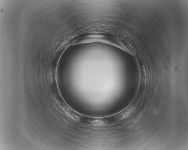 X0000054470562200508011504