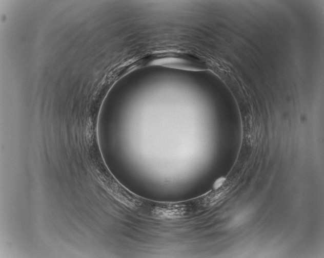 X0000054470563200508011504