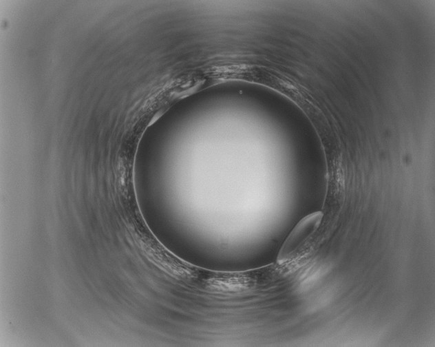 X0000054470567200508011504