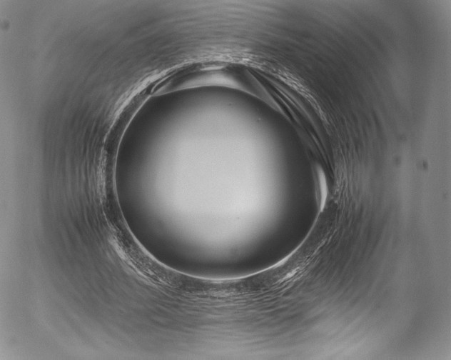 X0000054470580200508011503