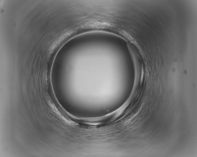 X0000054470581200508011503