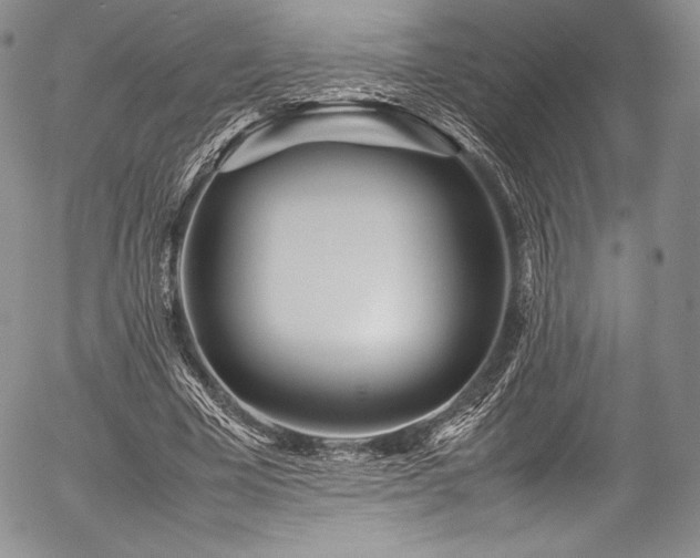 X0000054470585200508011503
