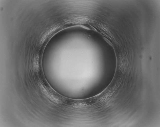 X0000054470586200508011503