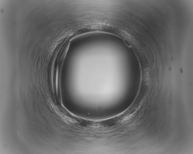 X0000054470589200508011503