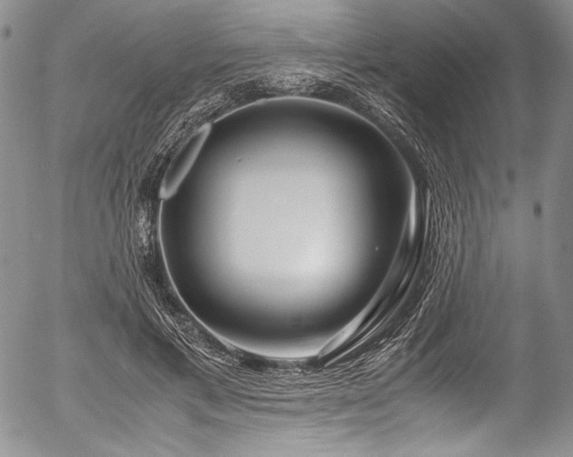 X0000054470597200508011503