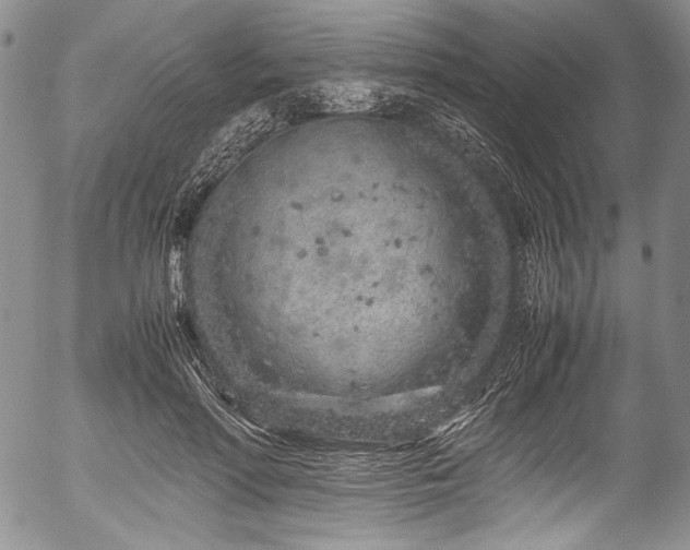 X0000054470598200508011503
