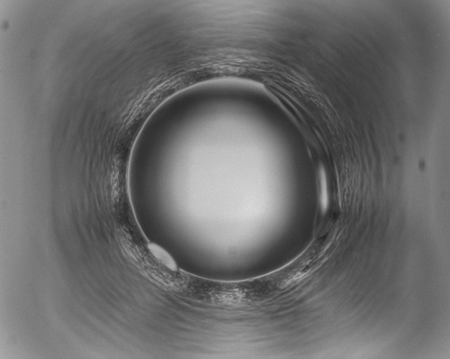 X0000054470600200508011503