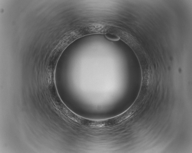 X0000054470602200508011503