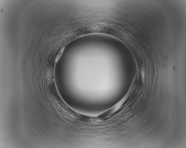 X0000054470605200508011503