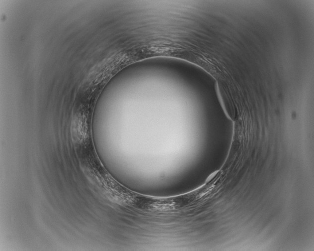 X0000054470606200508011503