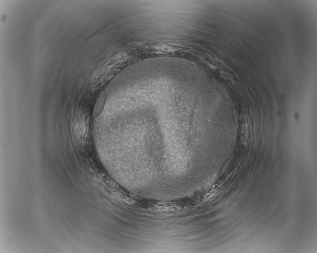 X0000054470608200508011503