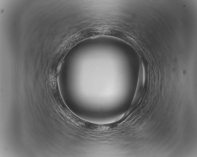 X0000054470609200508011503