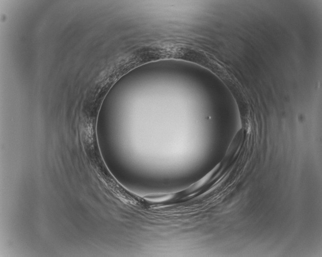 X0000054470613200508011503