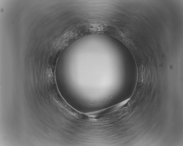 X0000054470614200508011503