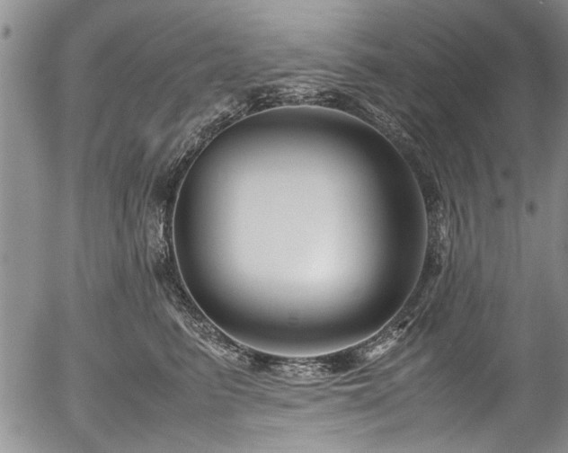 X0000054470615200508011503